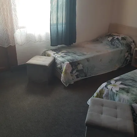 Pensionat Guest Radost Baltjik