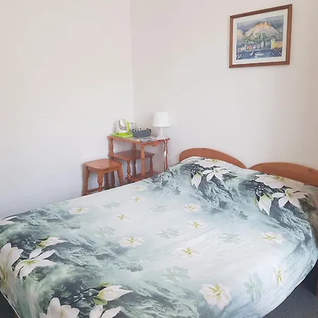 Guest house Guest Radost 2*