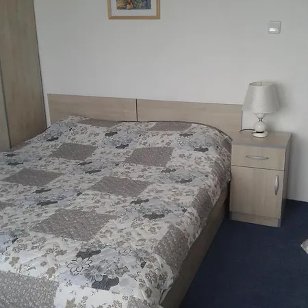Guest house Guest Radost 2*