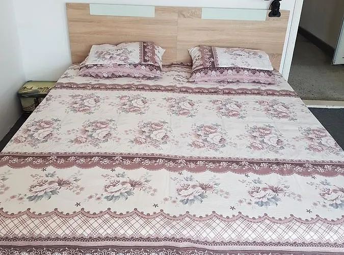 Guest Radost Guest house 2*